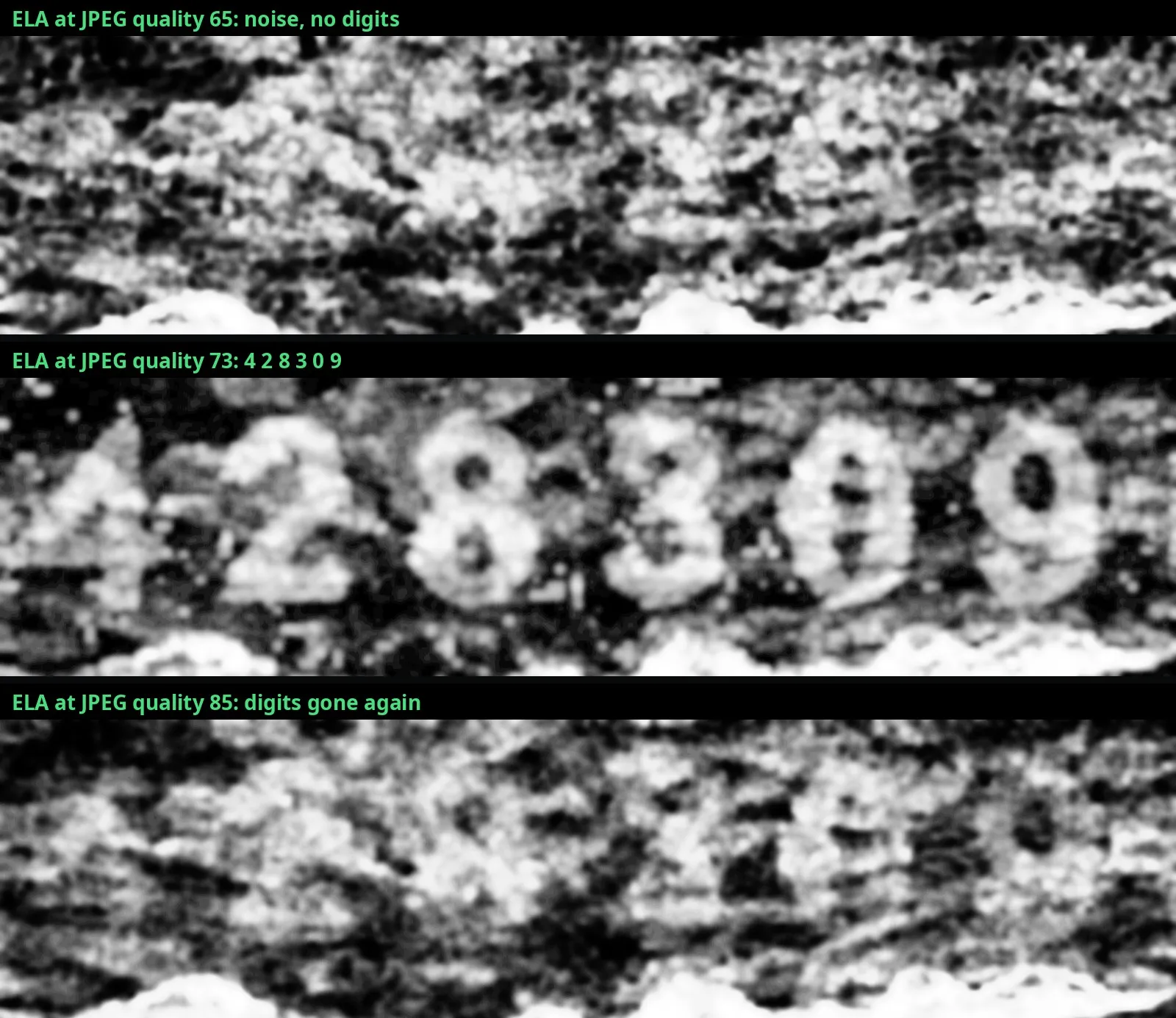 Three ELA crops of the upper sky, labelled: at JPEG quality 65 only noise, no digits; at JPEG quality 73 the digits 4 2 8 3 0 9 clearly visible; at JPEG quality 85 the digits gone again, only faint traces