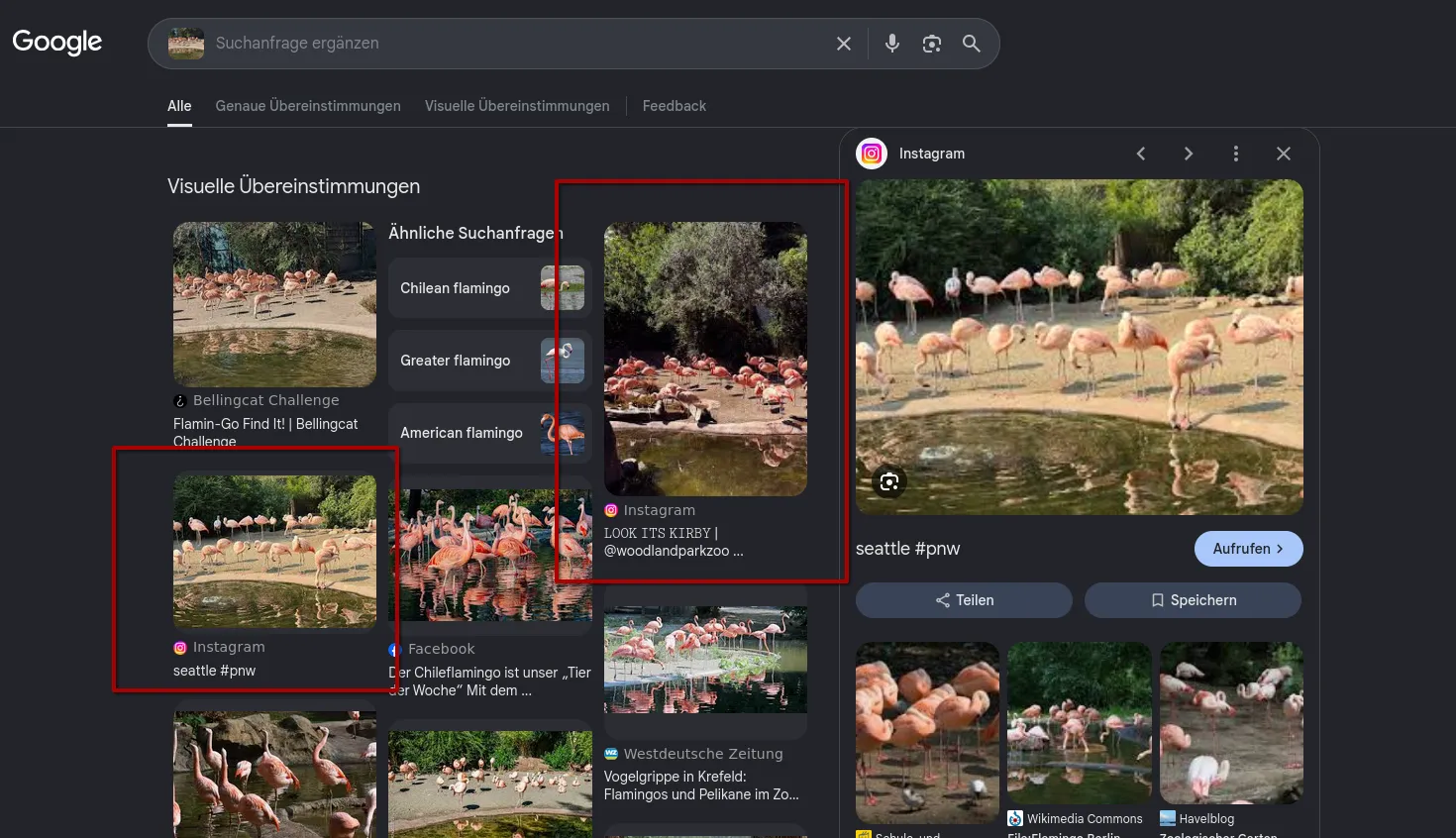 Google Lens visual matches for the challenge photo: the challenge page itself on top, then boxed in red an Instagram post captioned seattle #pnw showing the same pool and bank from nearly the same angle, and a second Instagram post captioned LOOK ITS KIRBY | @woodlandparkzoo; other matches from Krefeld, Berlin and elsewhere below
