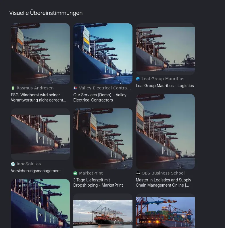 Google Lens visual matches: the same ship photo on a dozen sites, among them Rasmus Andresen, Valley Electrical Contractors, Leal Group Mauritius, InnoSolutas, MarketPrint and OBS Business School, each with a different crop and colour grade