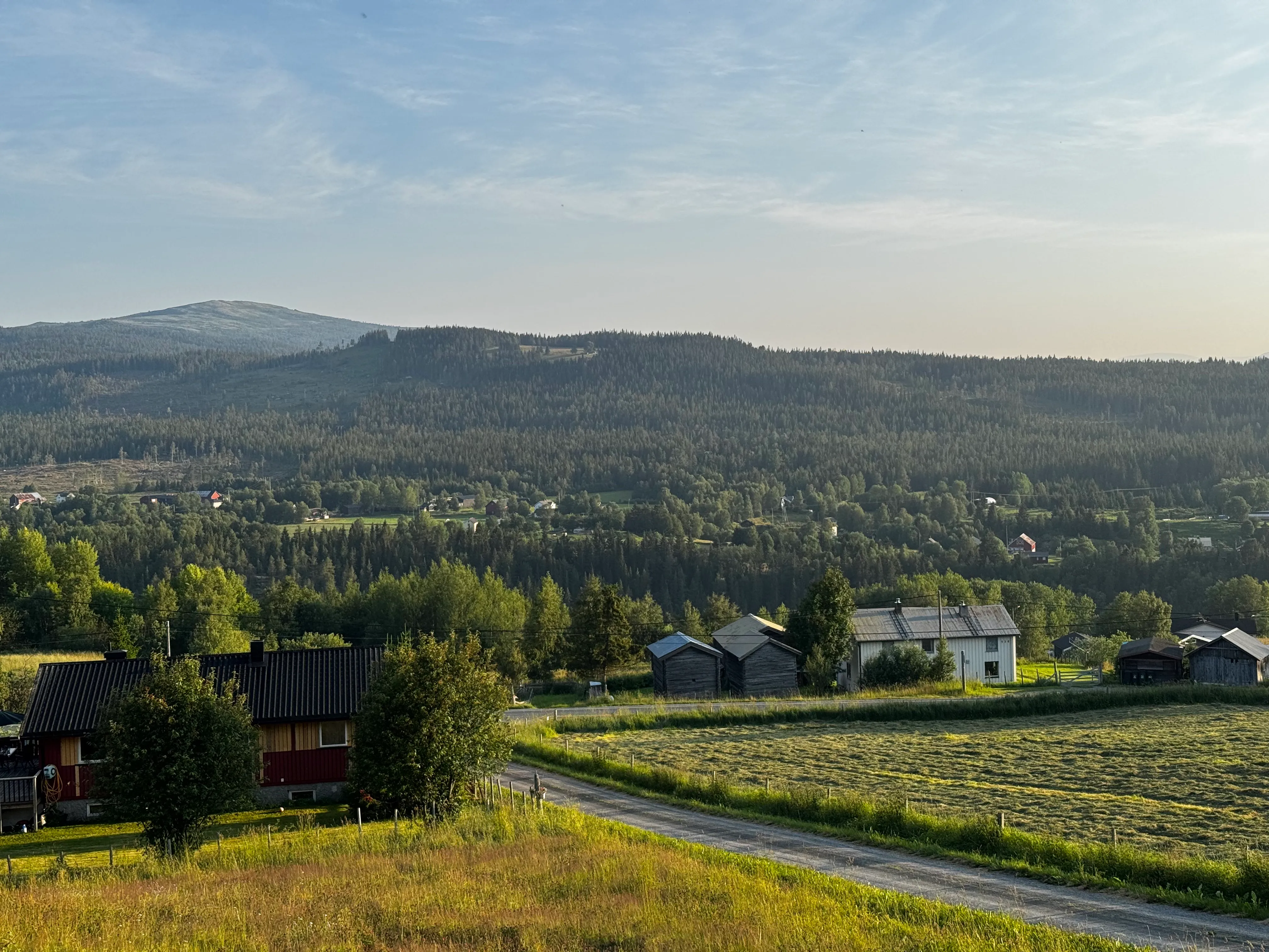 Rural valley in low evening light: a red timber house and grey log outbuildings above a freshly mown hay field, spruce-covered slopes behind and a bald rounded summit rising above the treeline