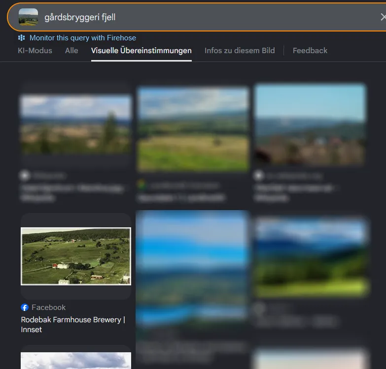 Google Lens visual matches for the query gårdsbryggeri fjell: a thumbnail grid with one result standing out — the Facebook page of Rodebak Farmhouse Brewery in Innset