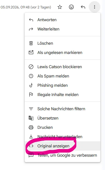 Gmail's message overflow menu opened, with the entry "Original anzeigen" (Show original) circled in pink near the bottom of the list