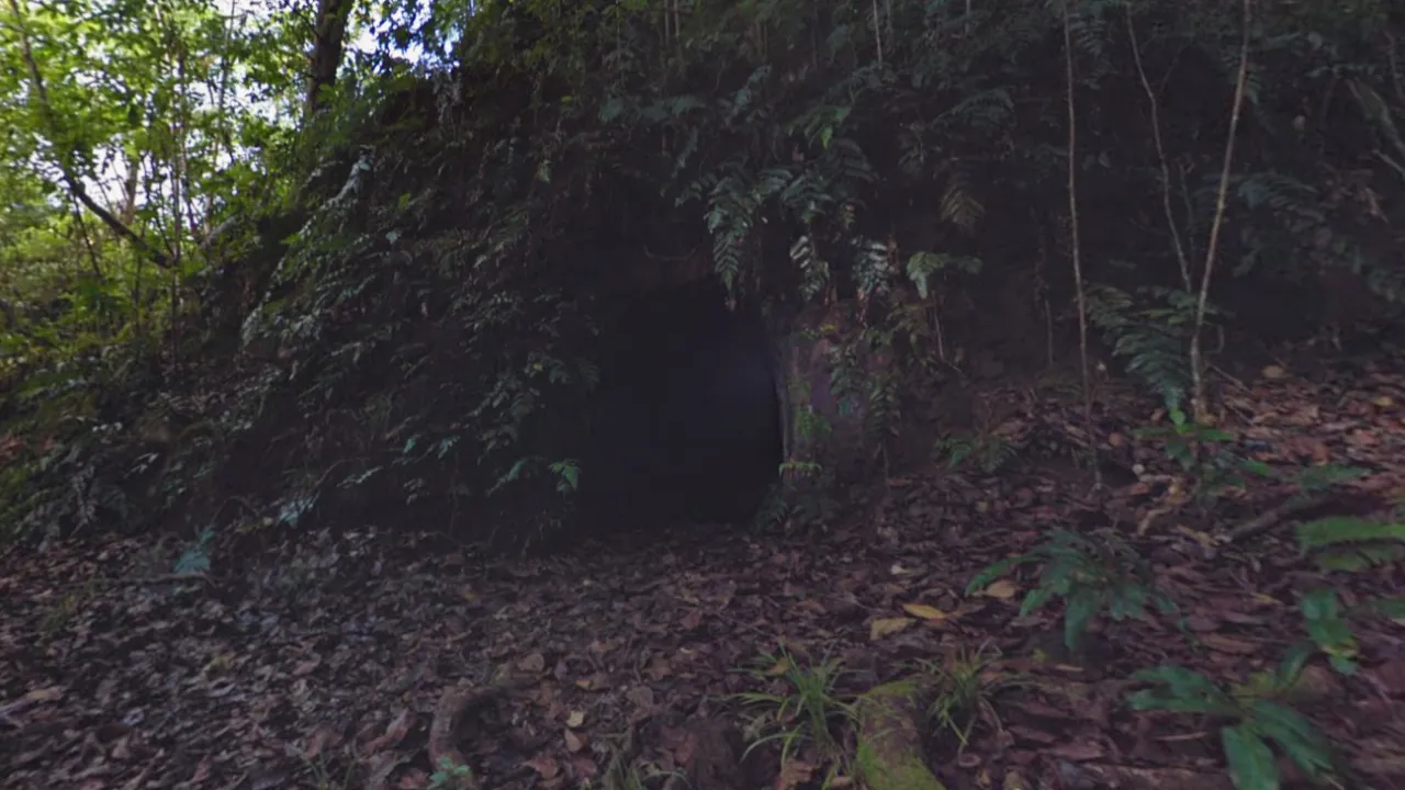 Street View frame at ground level in dark rainforest: a black cave mouth in an earth bank, ferns and vines hanging over the opening, the forest floor covered in dead leaves