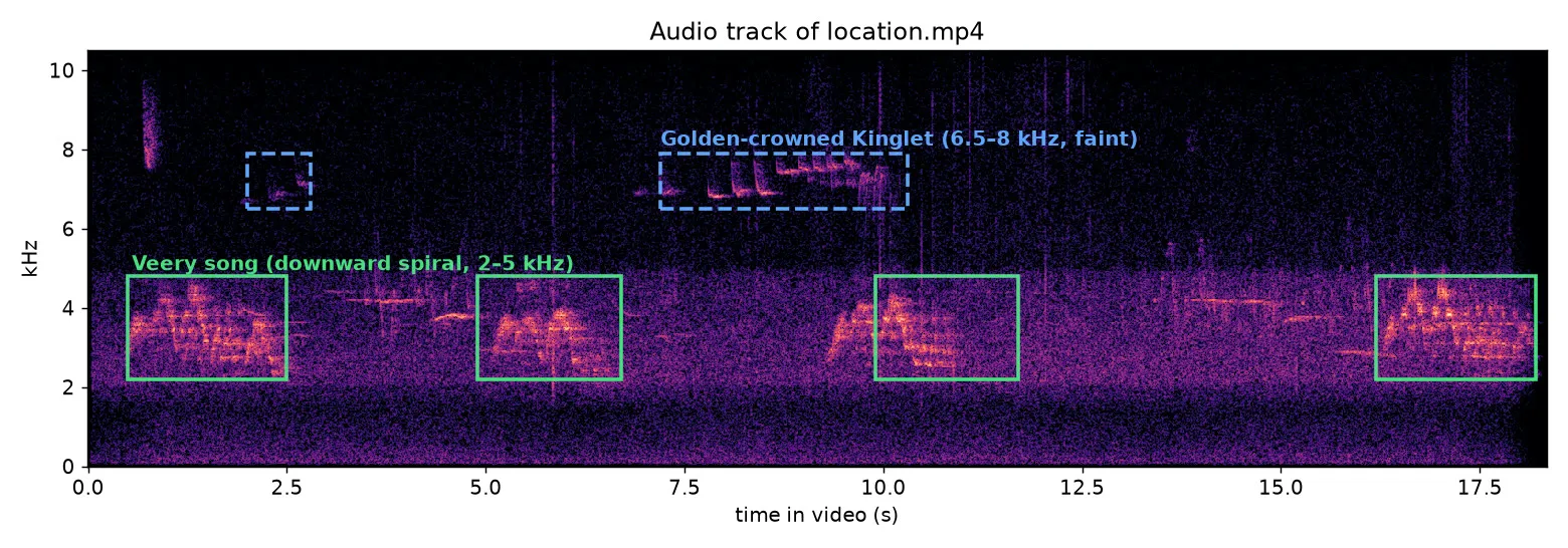 Spectrogram of the video's audio, 0 to 10.5 kHz over 18 seconds: four boxed strophes between 2 and 5 kHz, each a cascade of descending notes, labelled Veery song; above them, two dashed boxes around faint short upward notes at 6.5 to 8 kHz, labelled Golden-crowned Kinglet