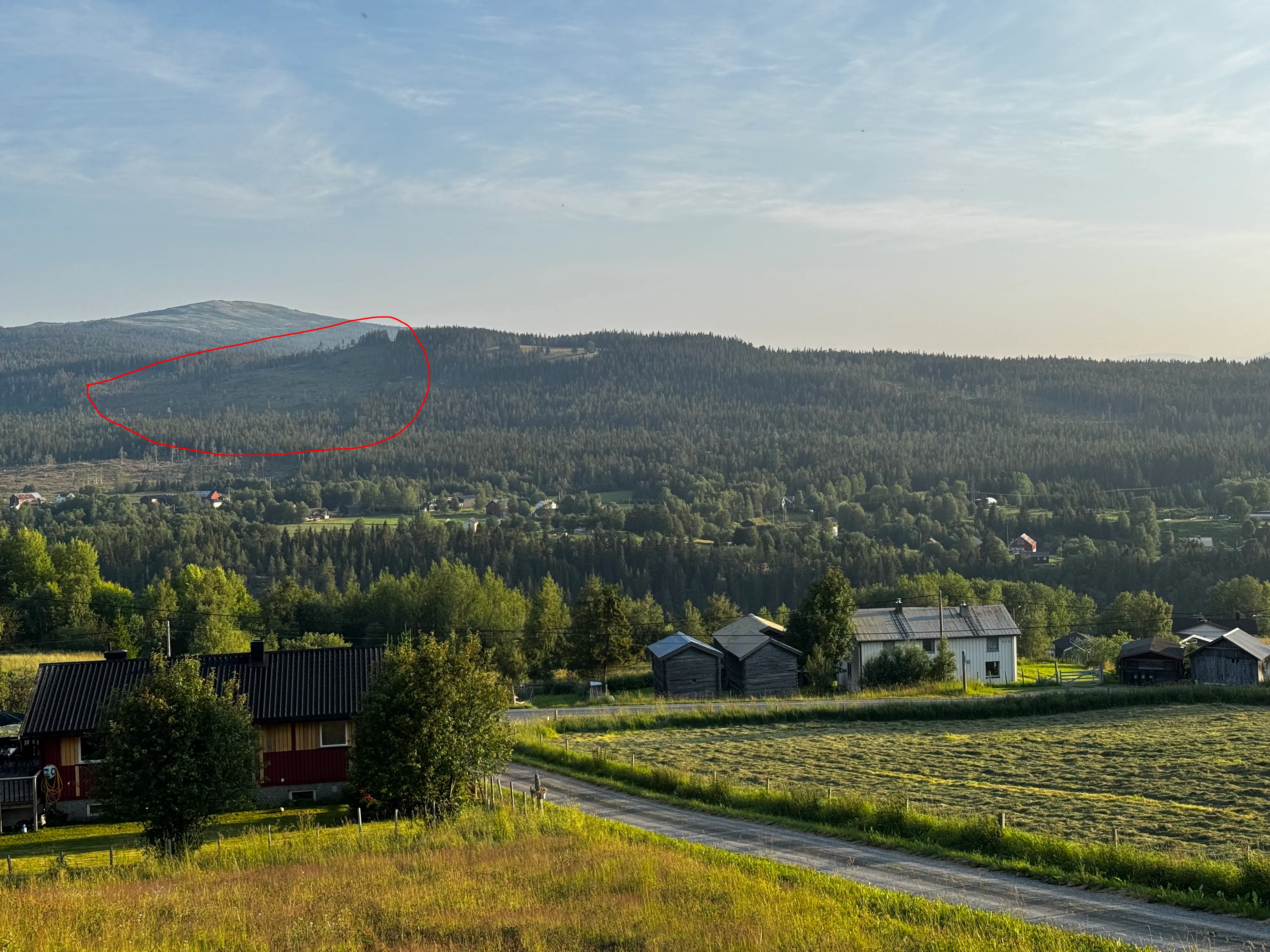 The challenge photo with a red circle marking the large clear-cut patch on the spruce slope below the bald summit